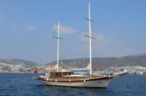 Boat Onelli